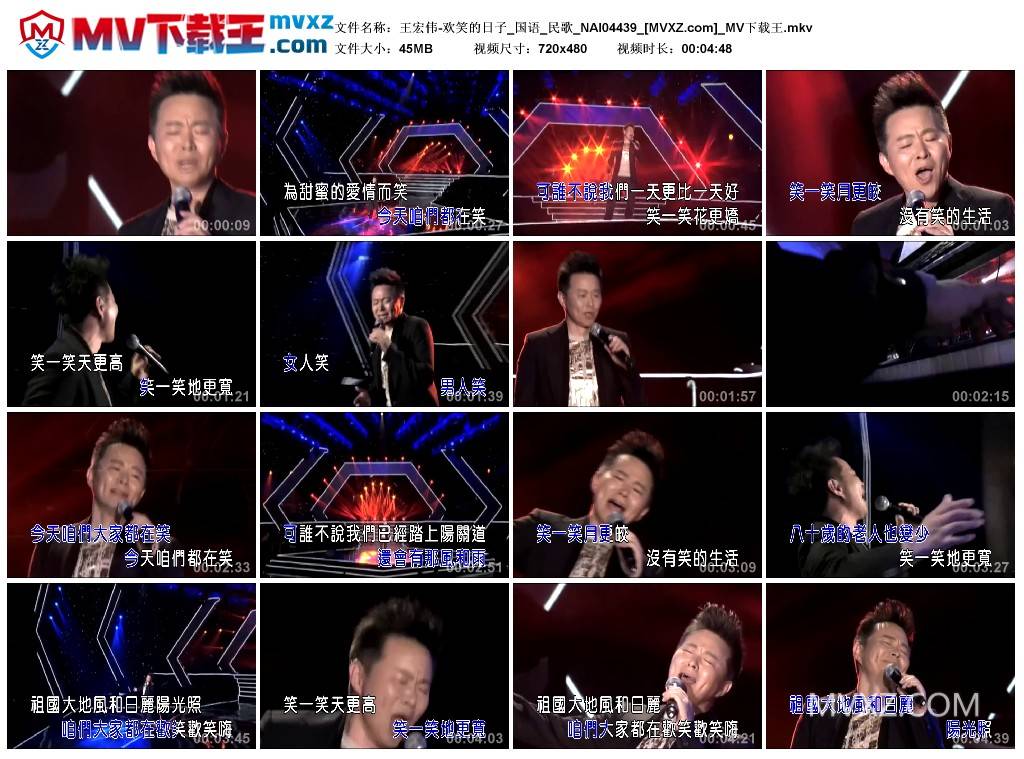 王宏伟-欢笑的日子_国语_民歌_NAI04439